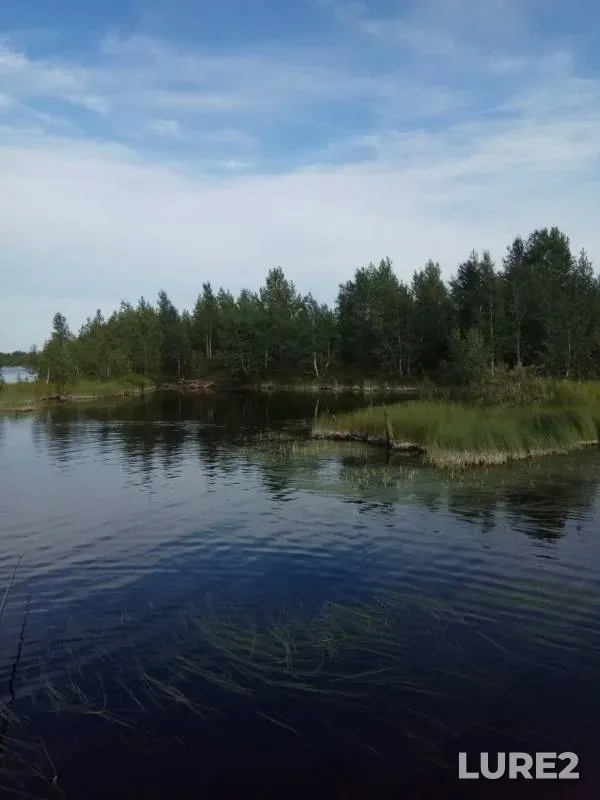Perch, Pike — Lupuingukhta, Aug 06, 2019