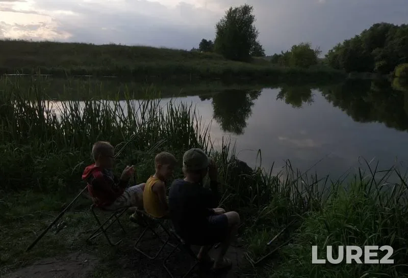 Crucian carp — Ros, Aug 04, 2019
