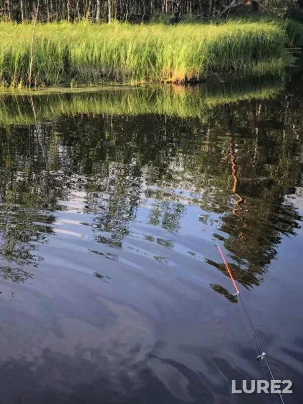 Perch, Pike — Kirill-Vysyagun, Jul 30, 2019
