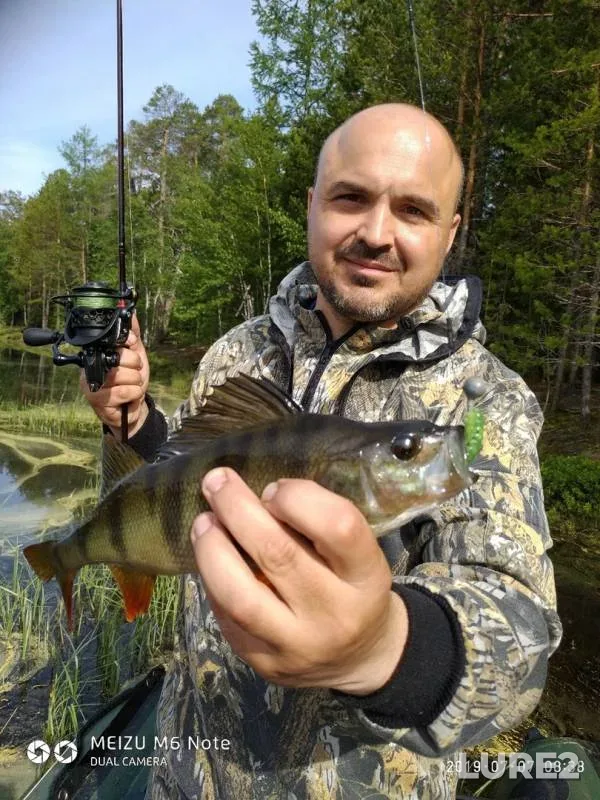 Perch, Pike — Yetypur, Jul 07, 2019