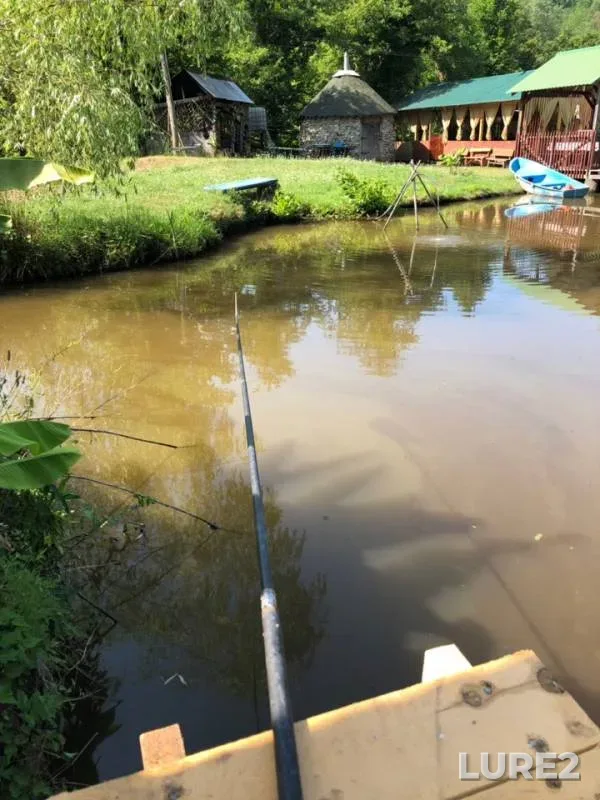 Crucian carp — Khobza, Jun 16, 2019