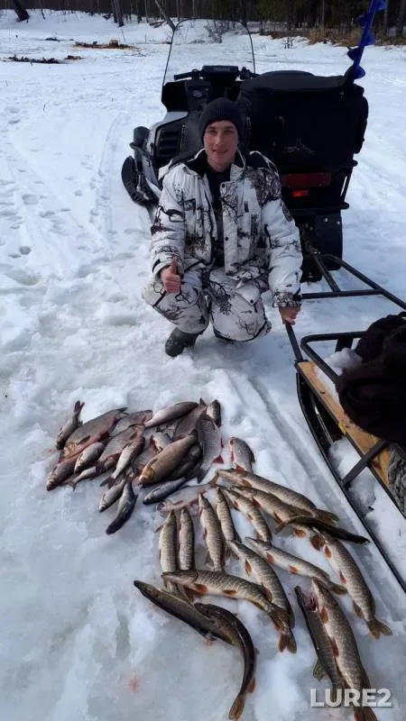 Ide, Pike — Yetypur, Apr 23, 2019