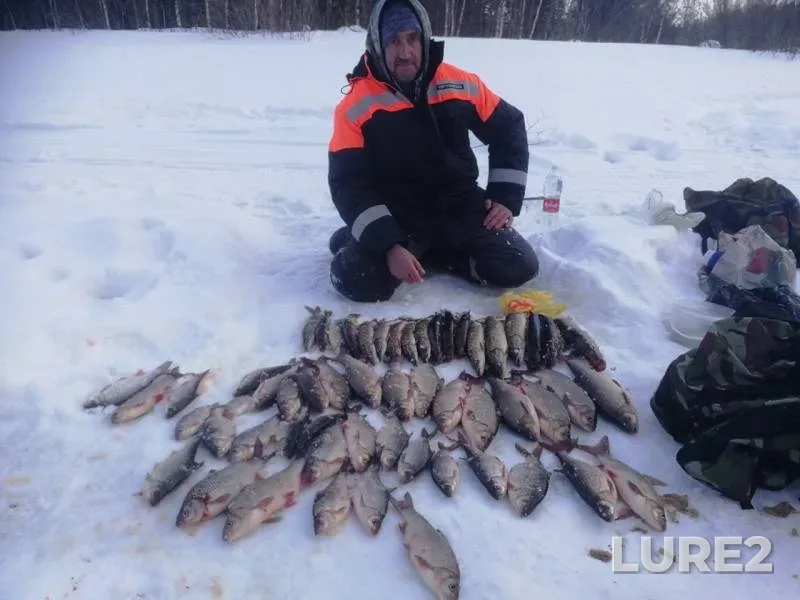 Ide, Pike — Yetypur, Mar 22, 2019