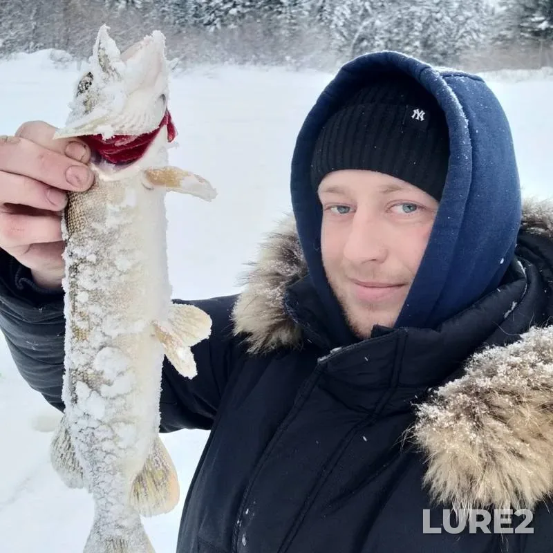Ide, Pike — Yetypur, Feb 24, 2019
