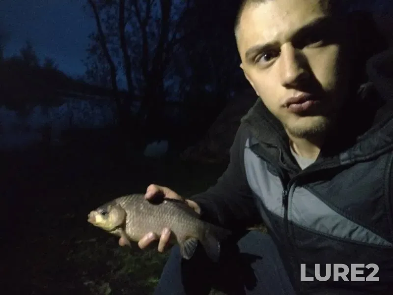Crucian carp — Pervogo Maya, May 09, 2019