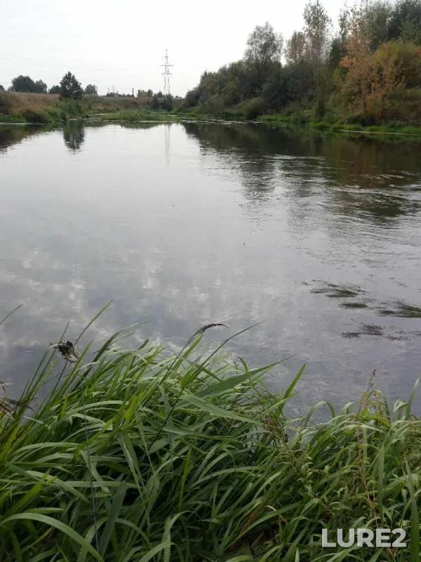 Chub — Nizhegorodskaya oblast, Sep 11, 2019
