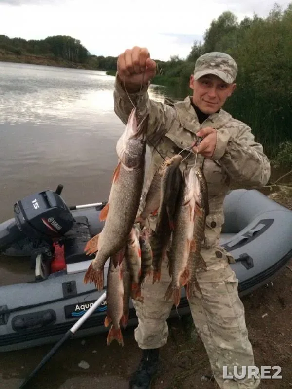 Perch, Pike — Zhayyқ - Ural, Sep 10, 2017