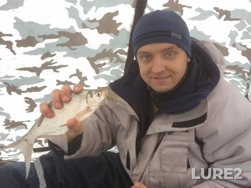 Bream, Roach — Chernovskoye, Dec 10, 2016