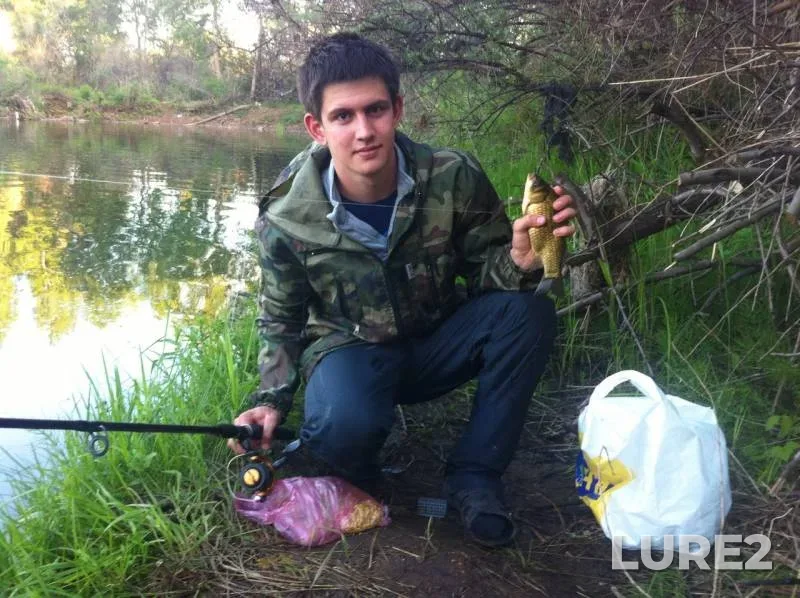 Crucian carp, Perch — Orenburgskaya oblast, May 23, 2016