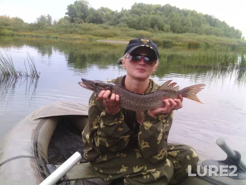 Pike — Zhayyқ - Ural, Sep 17, 2015