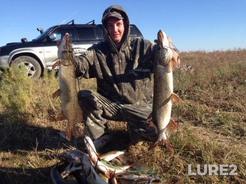 Perch, Pike — Kushum, Sep 14, 2015