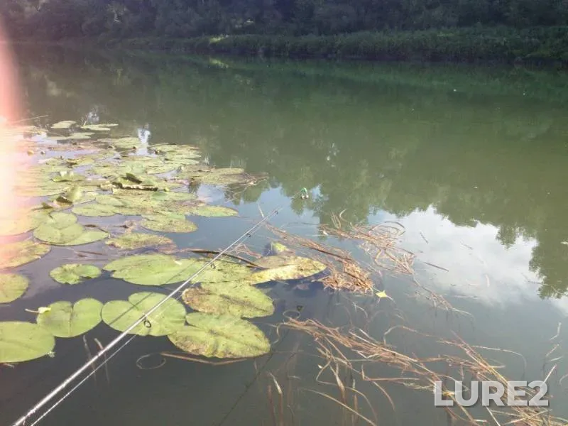 Bream, Ide — Sakmara, Aug 16, 2015
