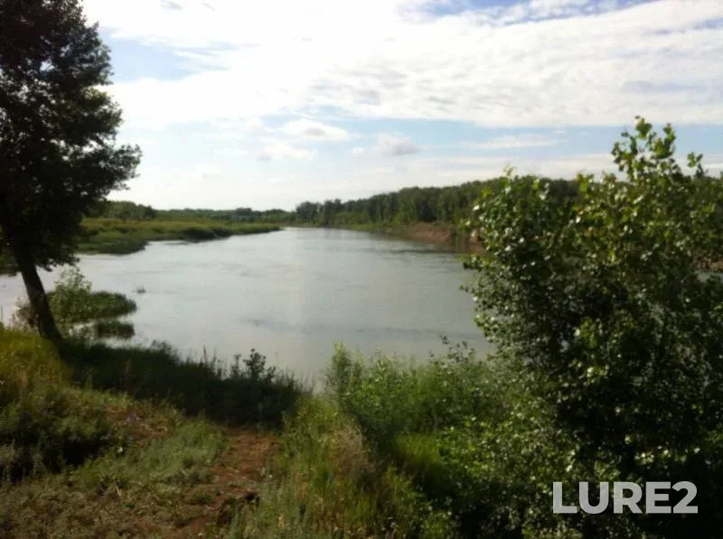 Chub — Zhayyқ - Ural, Jul 05, 2015