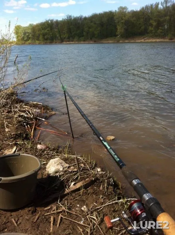 Bream, Crucian carp — Lebyazhye, May 11, 2015