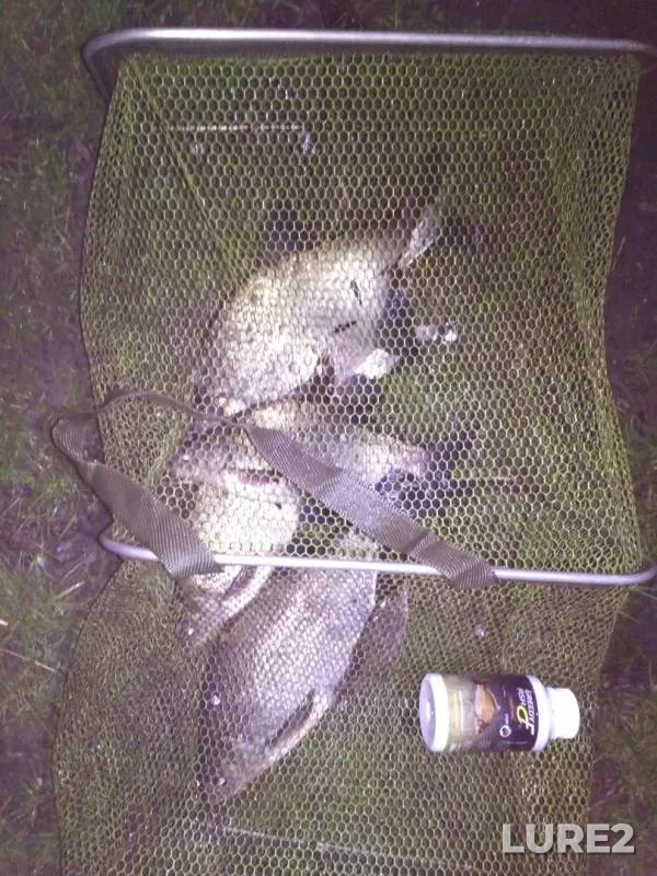Bream — Mukhavets, Apr 17, 2017