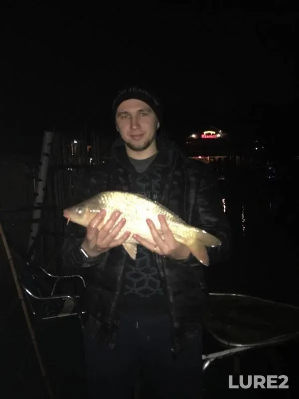 Carp — Kherota, Jan 20, 2017