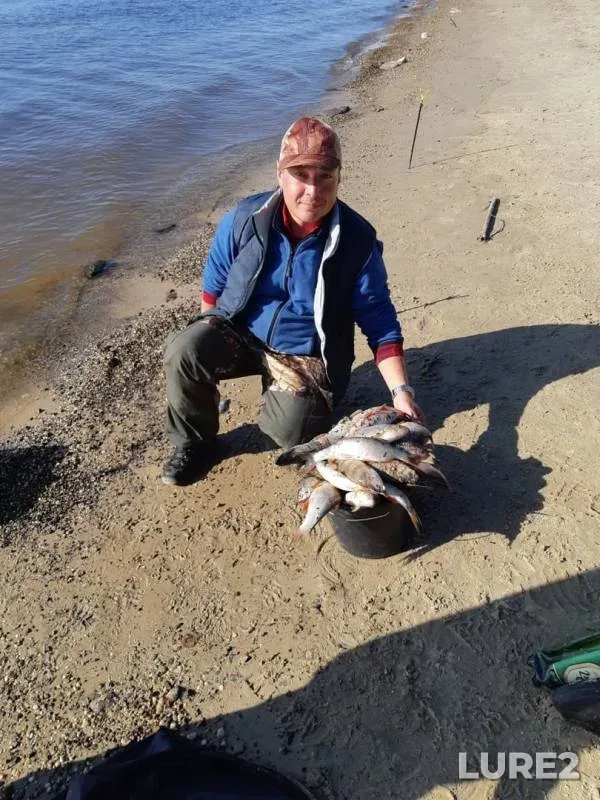 Perch, Pike — Khanty-Mansiyskiy avtonomnyy okrug — Yugra, Oktyabrskiy rayon, Sep 09, 2019