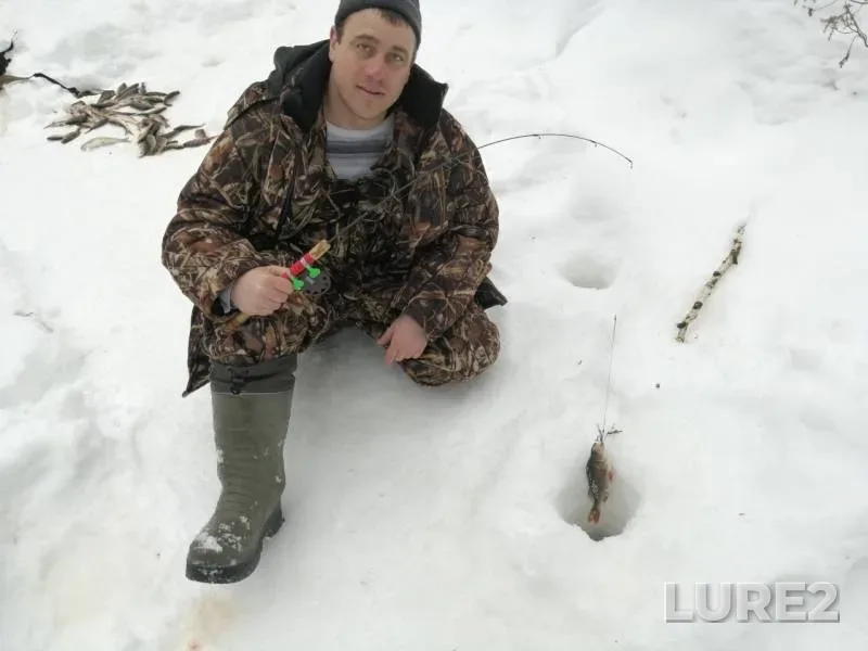 Perch, Roach — Un-Dautyugan, Mar 13, 2019
