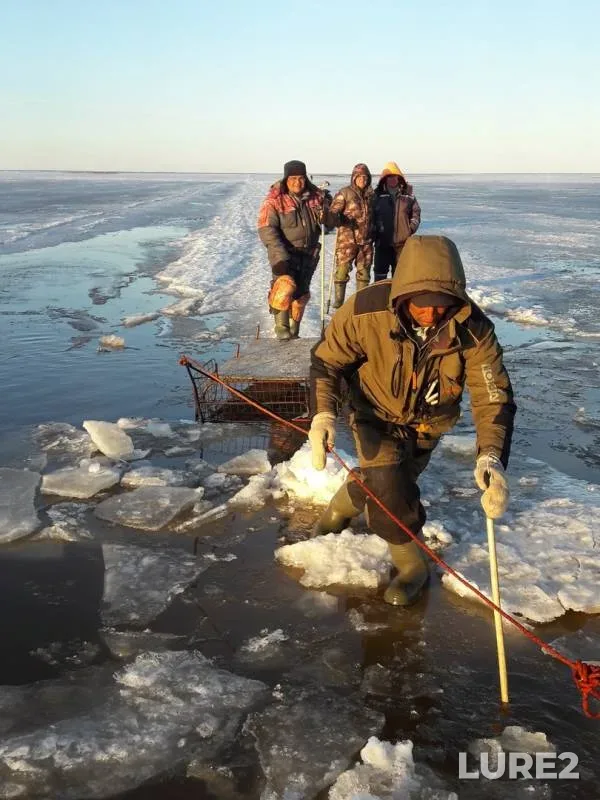 Bream, Burbot — Kama, Apr 21, 2019