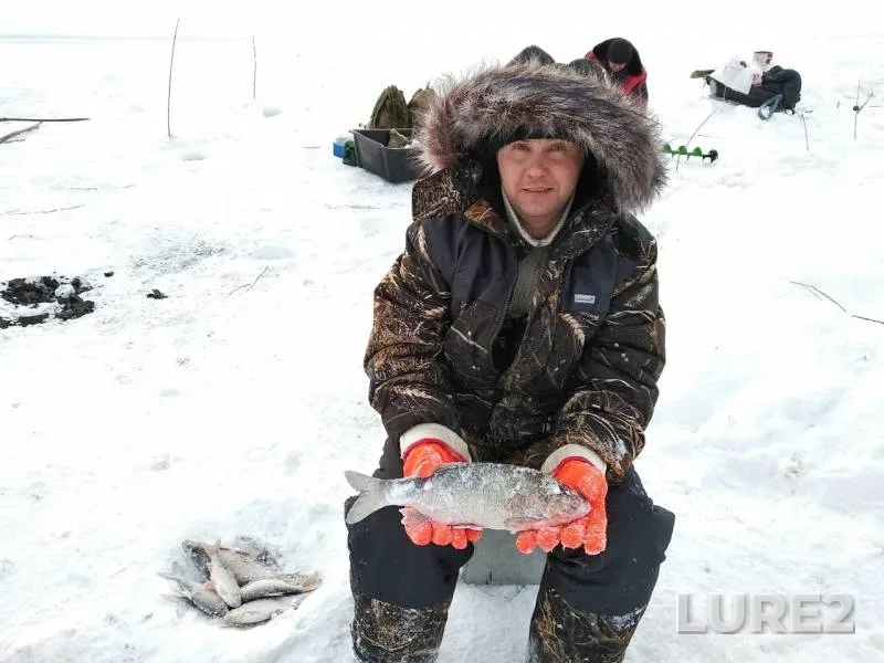 Bream, Ide — Khanty-Mansiyskiy avtonomnyy okrug — Yugra, Oktyabrskiy rayon, Mar 02, 2019