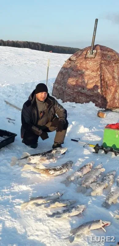 Pike — Malyy Atlym, Feb 20, 2019
