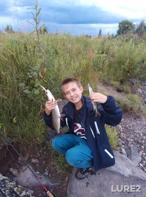 Pike — Tarayka, Aug 11, 2019