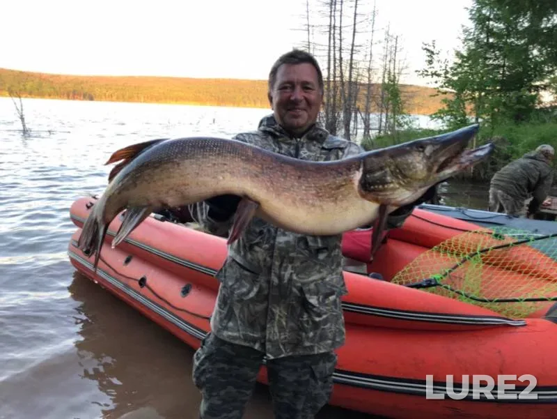 Pike — Boguchanskoye, Jul 18, 2019