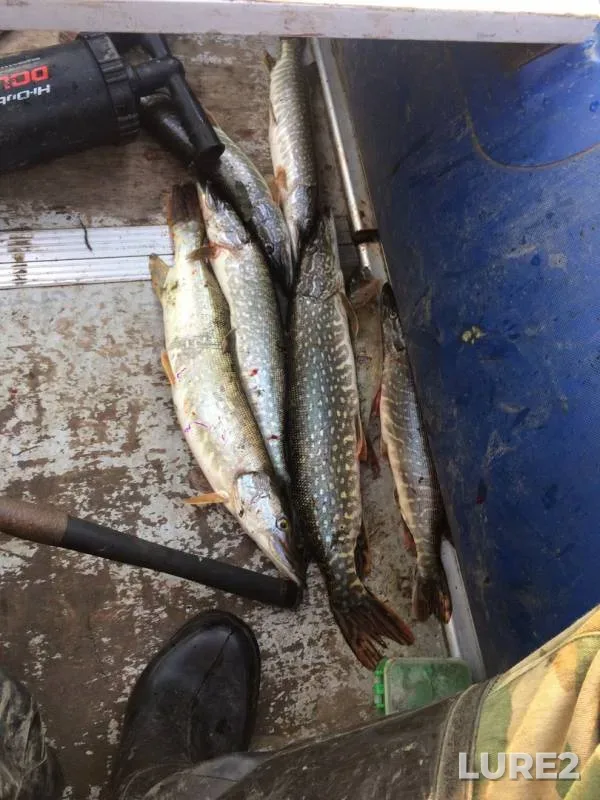 Pike — Kan, Jul 17, 2019