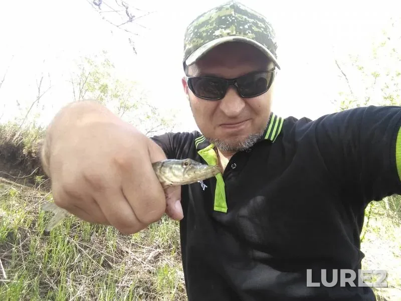Perch, Roach — Krasnoyarskiy kray, Jun 05, 2019