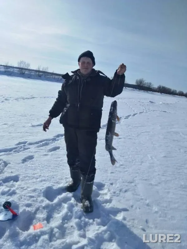 Pike — Kan, Feb 24, 2019