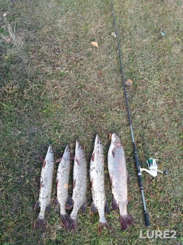 Pike — Kan, Oct 03, 2018