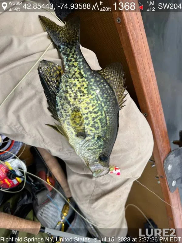 Black crappie — Young Lake, Jun 07, 2019