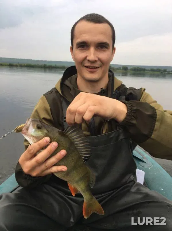 Perch — Kan, Jul 02, 2017