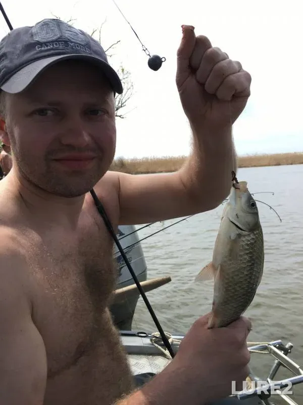 Crucian carp — Astrakhanskaya oblast, Volodarskiy rayon, Apr 27, 2017