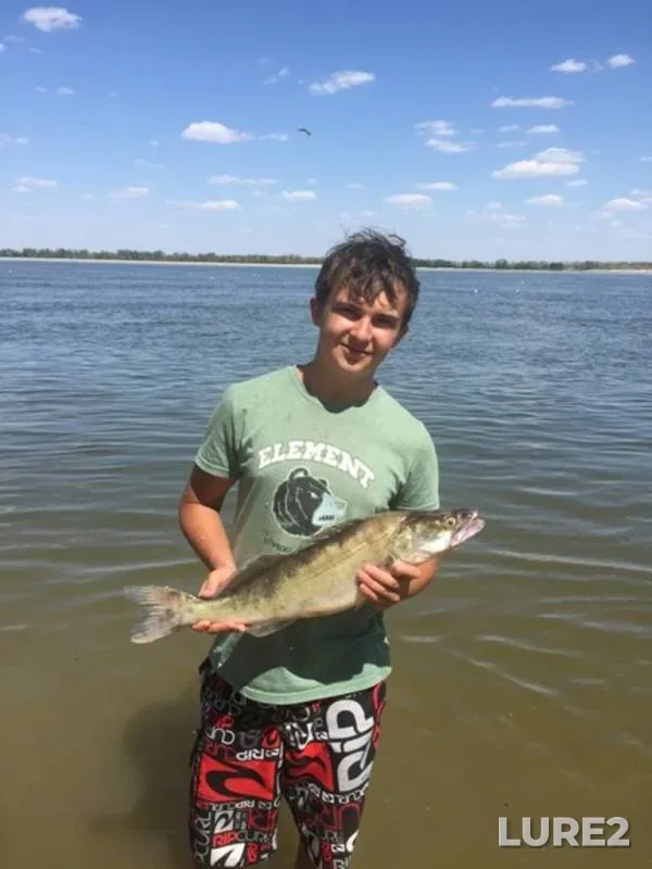 Zander — Volga, Jun 10, 2016