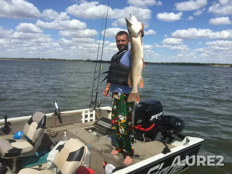 Pike — Volga, Jun 09, 2016