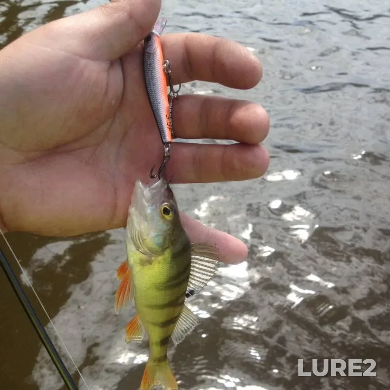 Perch — Bilimbayevskiy, Jun 19, 2019