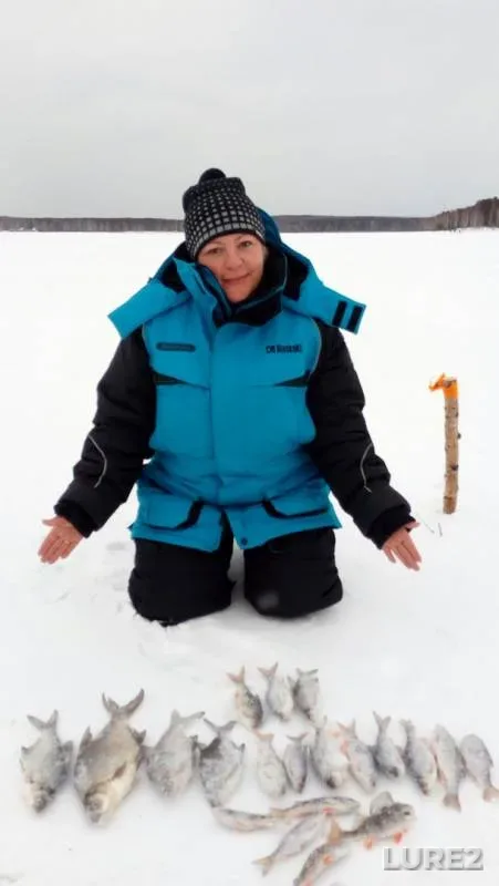 Bream, Perch — Volchikhinskoye, Feb 26, 2019