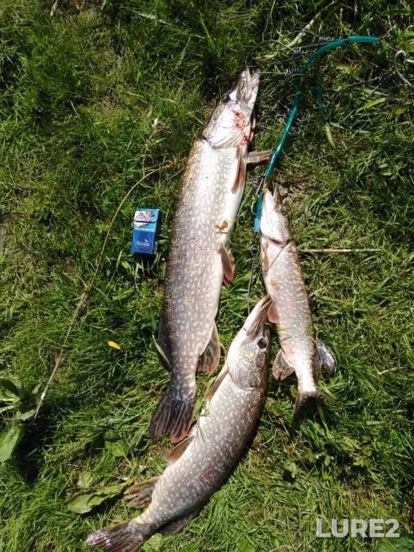 Pike — Ufa, Jun 09, 2019
