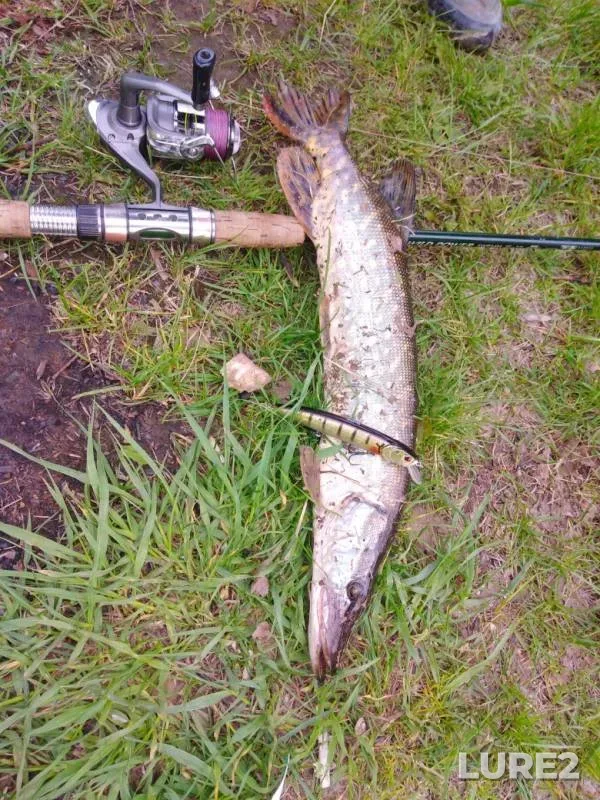 Pike — Chusovaya, Jun 06, 2019