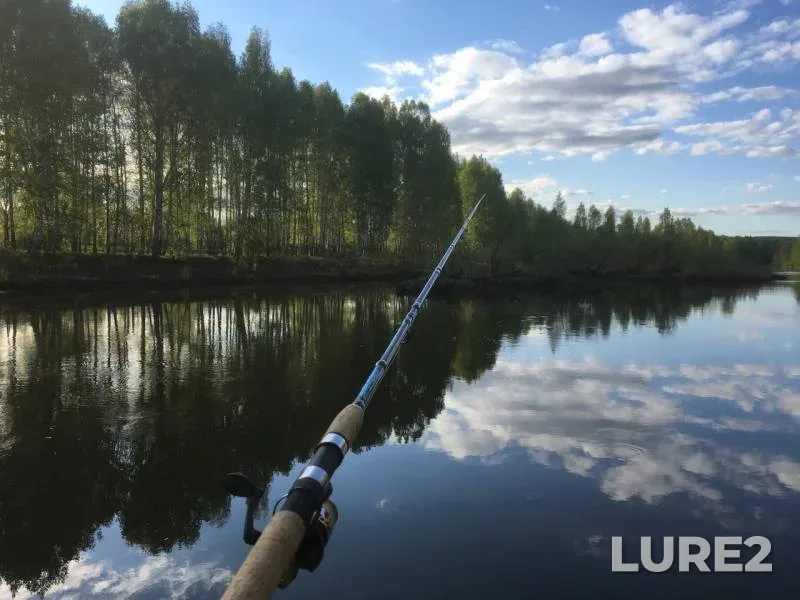 Pike — Chusovaya, May 26, 2019