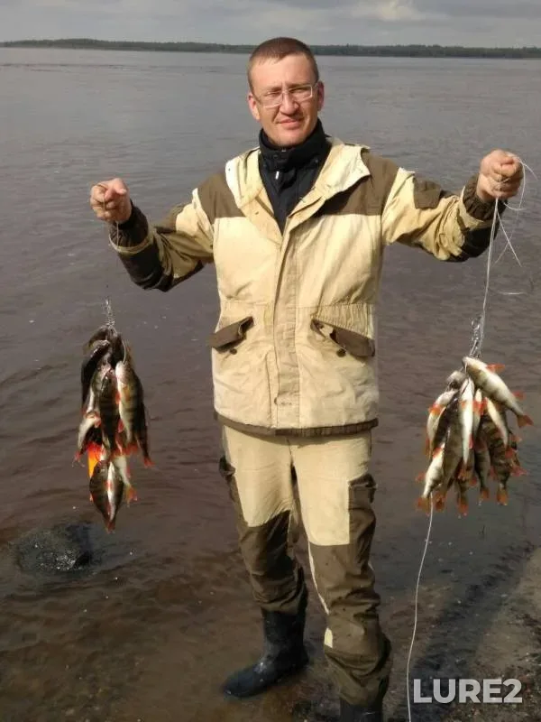 Perch, Pike — Khanty-Mansiyskiy avtonomnyy okrug — Yugra, Oktyabrskiy rayon, Aug 10, 2017