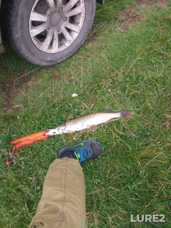 Pike — Chusovaya, Aug 07, 2017