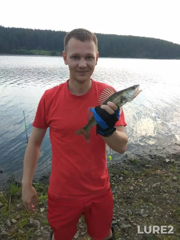 Zander — Chusovaya, Jul 23, 2017