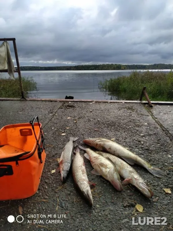 Pike, Zander — Istra, Sep 22, 2019
