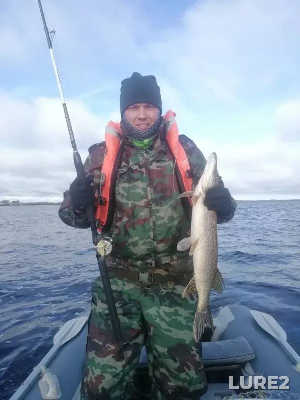 Pike — Severnaya Dvina, Sep 22, 2019
