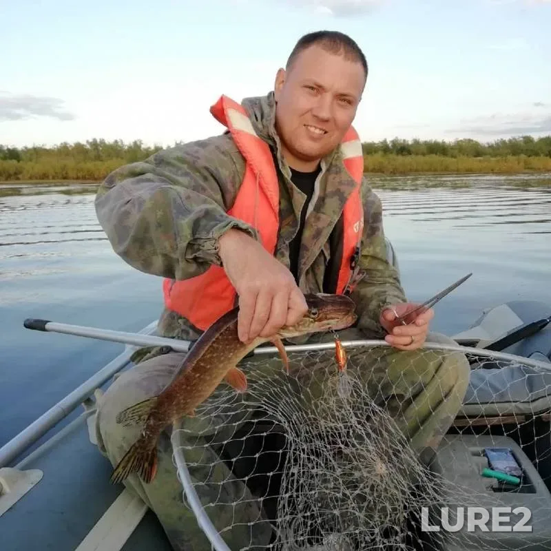 Perch, Pike — Severnaya Dvina, Sep 02, 2019