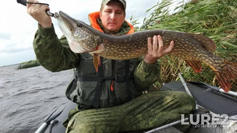 Pike — Kosopasha, Aug 20, 2019