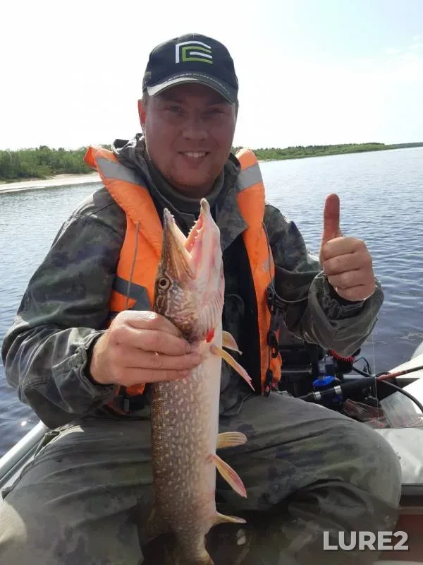 Pike, Zander — Severnaya Dvina, Jul 25, 2019