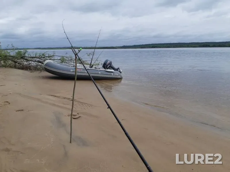Bream, Perch — Arkhangelskaya oblast, Kholmogorskiy munitsipalnyy okrug, Jul 20, 2019